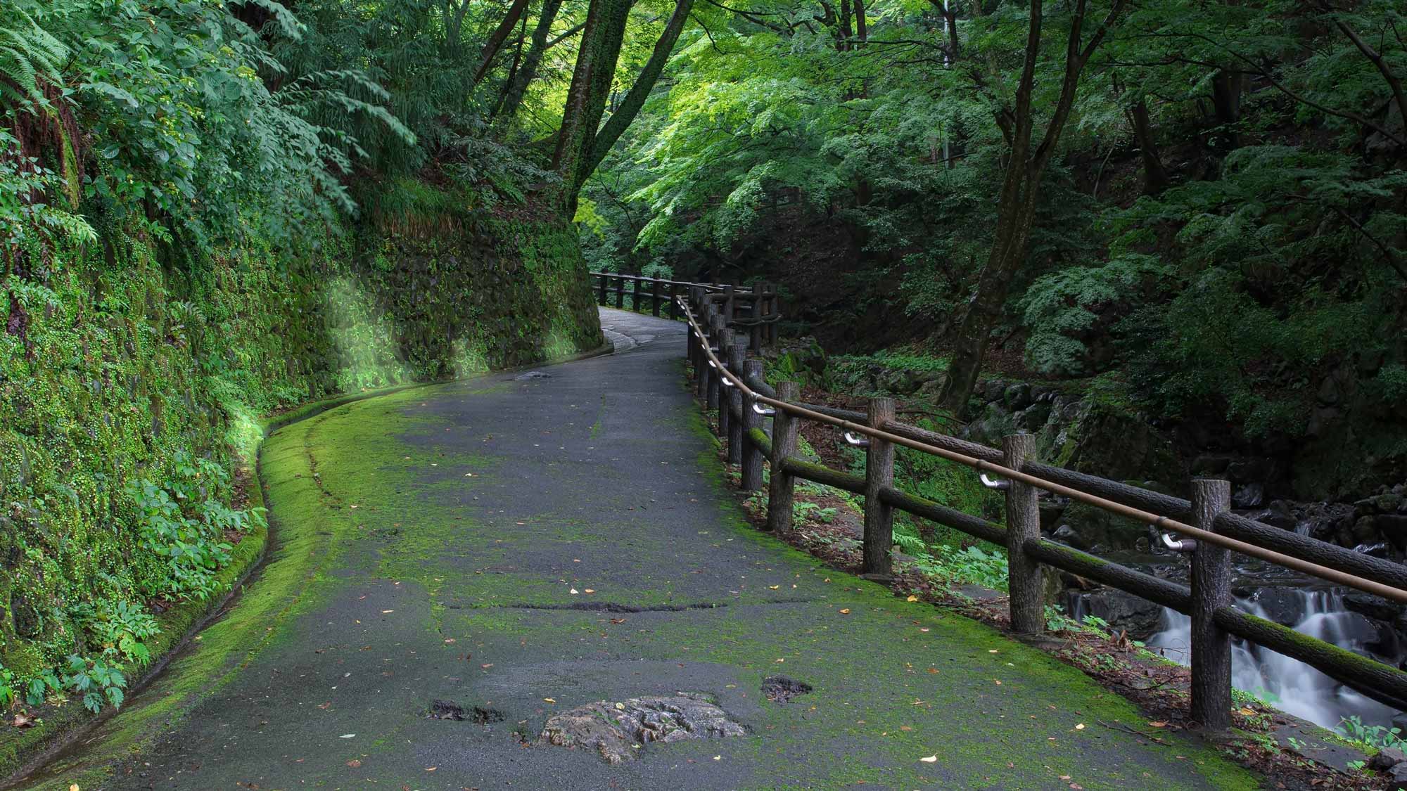 常陸